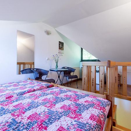 Apartments Jaka ドレーニスケ・トプリーツェ 部屋 写真