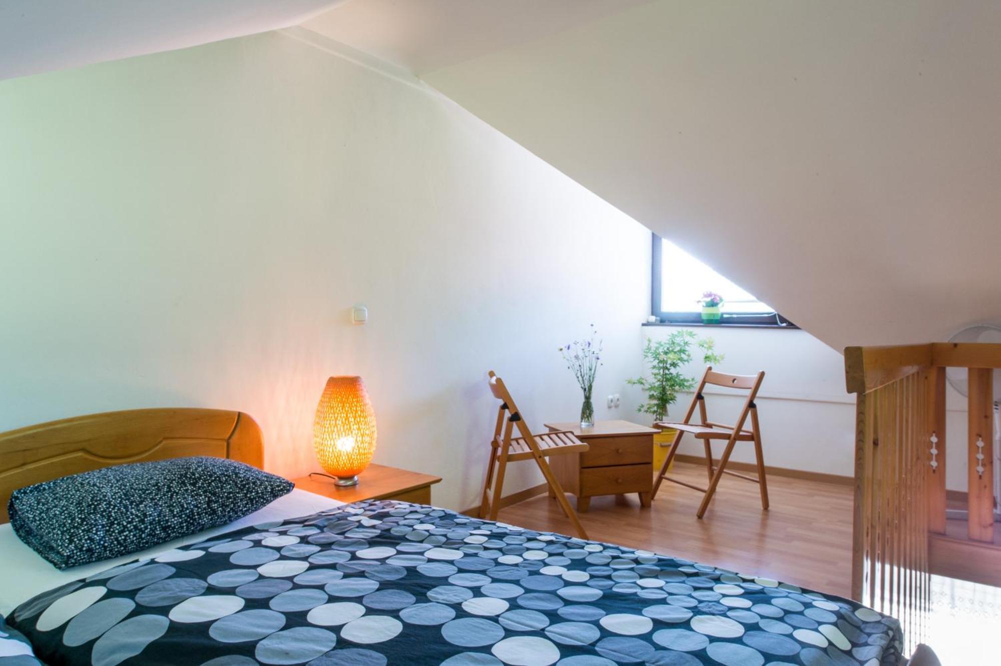 Apartments Jaka ドレーニスケ・トプリーツェ 部屋 写真
